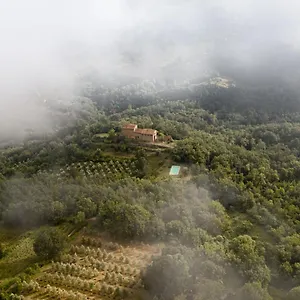 Agriturismo Toscanna Borselli