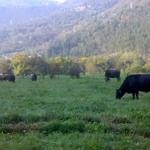 Bauernhof Biobio Vobarno